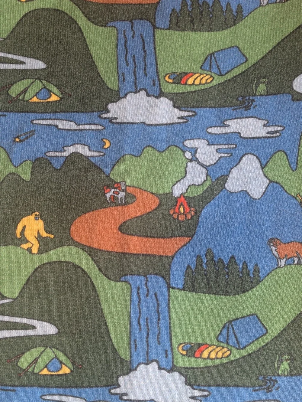 🏕️ L.L. Bean Boy's 100% Organic Cotton Scenic Print Pajama Set; Size: 10